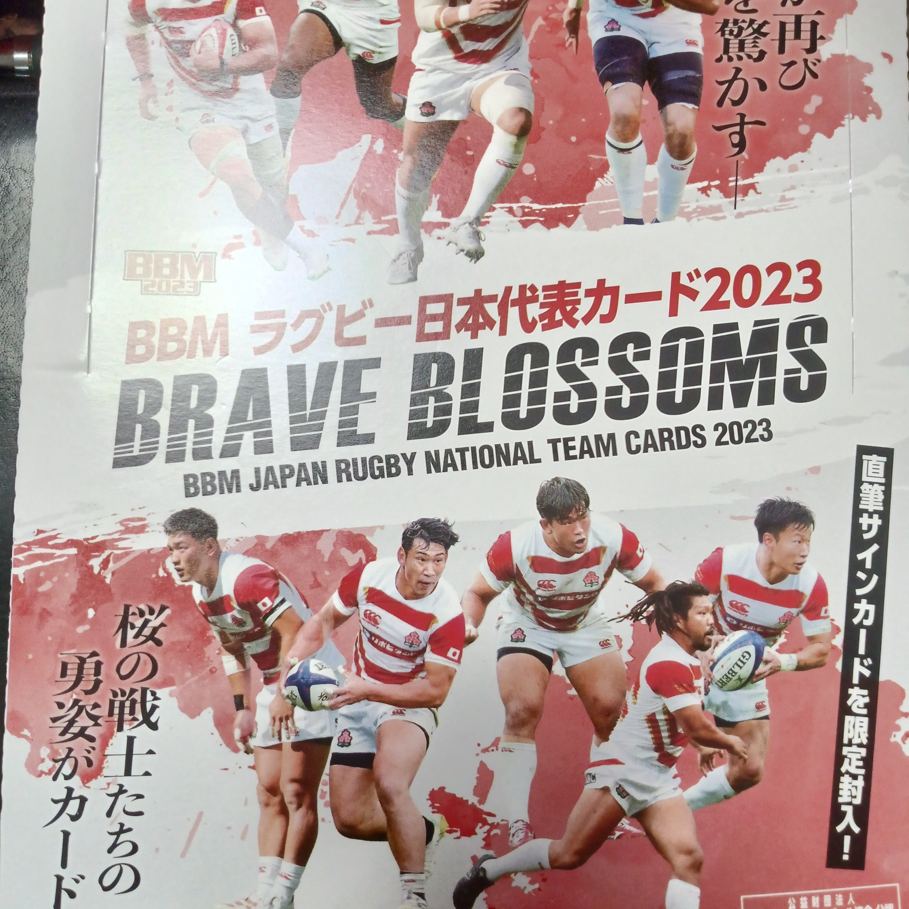BBM ラグビー日本代表カード2023を開封しました。